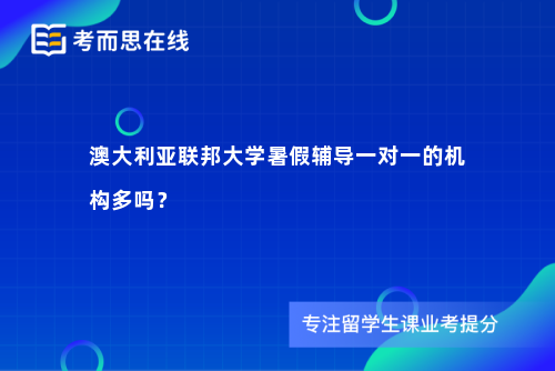澳大利亚联邦大学暑假辅导一对一的机构多吗？