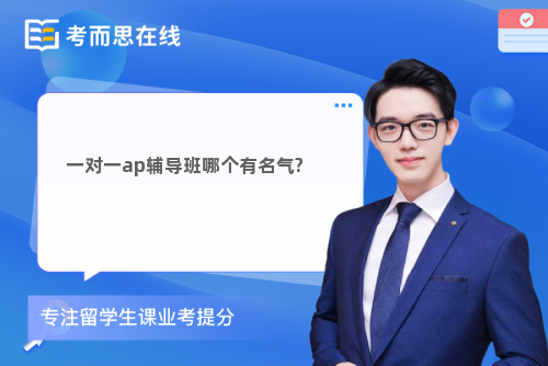 一对一ap辅导班哪个有名气?