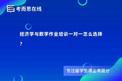 经济学与数学作业培训一对一怎么选择？