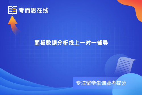 面板数据分析线上一对一辅导