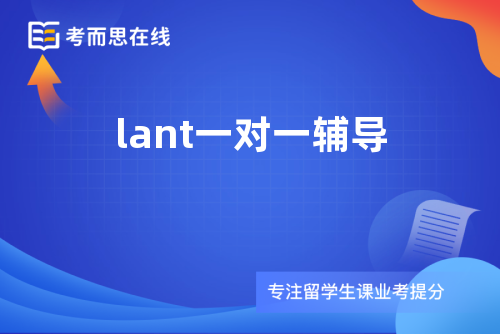 lant一对一辅导