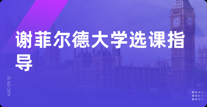 谢菲尔德大学选课指导