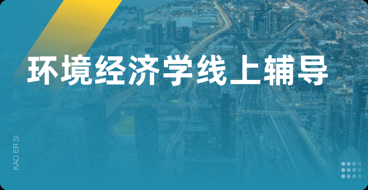 环境经济学线上辅导