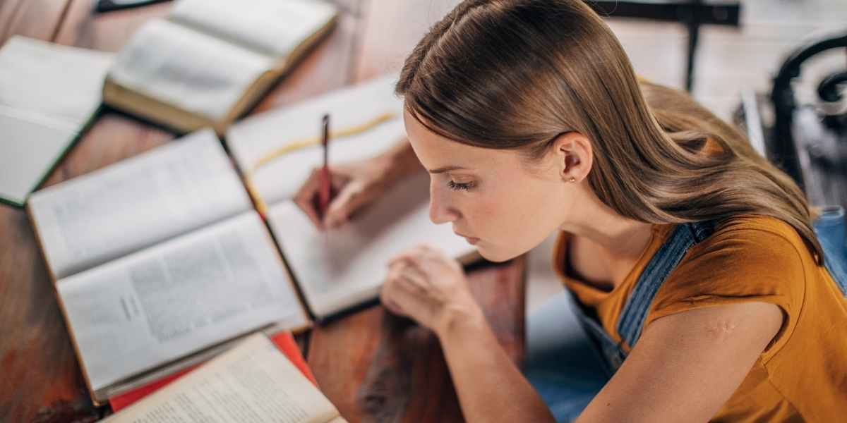 普利茅斯大学会计与金融专业论文怎么写？