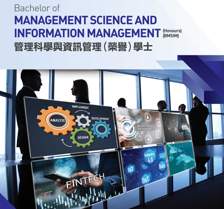 香港恒生大学商业分析与信息管理课程设置