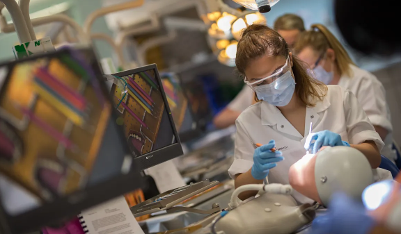 邓迪大学口腔健康科学本科课程怎么有效预习？预习要点总结！