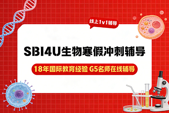 冲刺SBI4U生物高分，哪家寒假辅导班知识点梳理更系统？