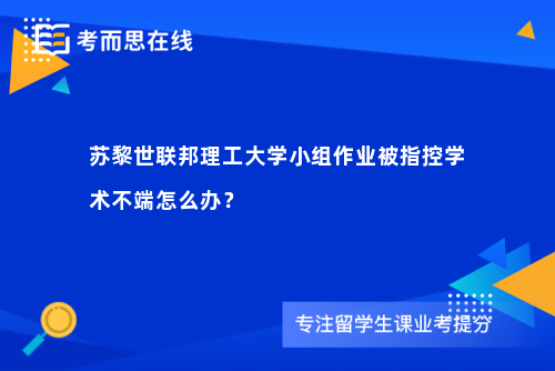 苏黎世联邦理工大学小组作业被指控学术不端怎么办？