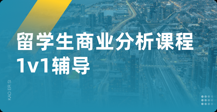 留学生商业分析课程1v1辅导