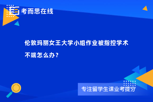 伦敦玛丽女王大学小组作业被指控学术不端怎么办？
