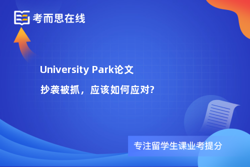 University Park论文抄袭被抓，应该如何应对?