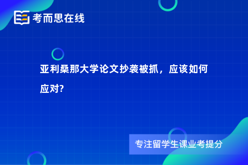 亚利桑那大学论文抄袭被抓，应该如何应对?