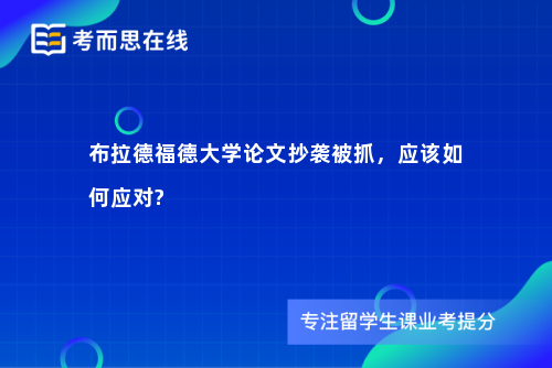 布拉德福德大学论文抄袭被抓，应该如何应对?
