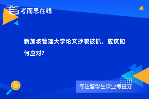 新加坡管理大学论文抄袭被抓，应该如何应对?