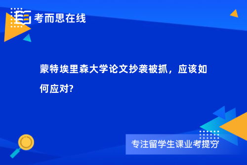 蒙特埃里森大学论文抄袭被抓，应该如何应对?